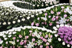 花山區塊_工作區域 1 複本 2.jpg