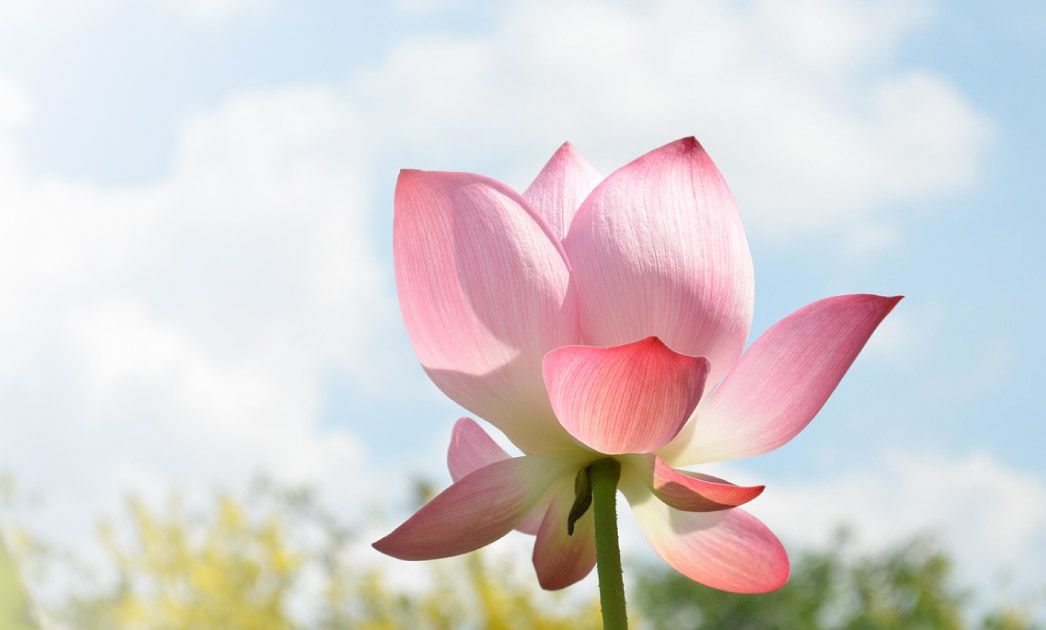 避免超支！佛教喪禮怎麼選？台北禮儀公司費用與服務比較