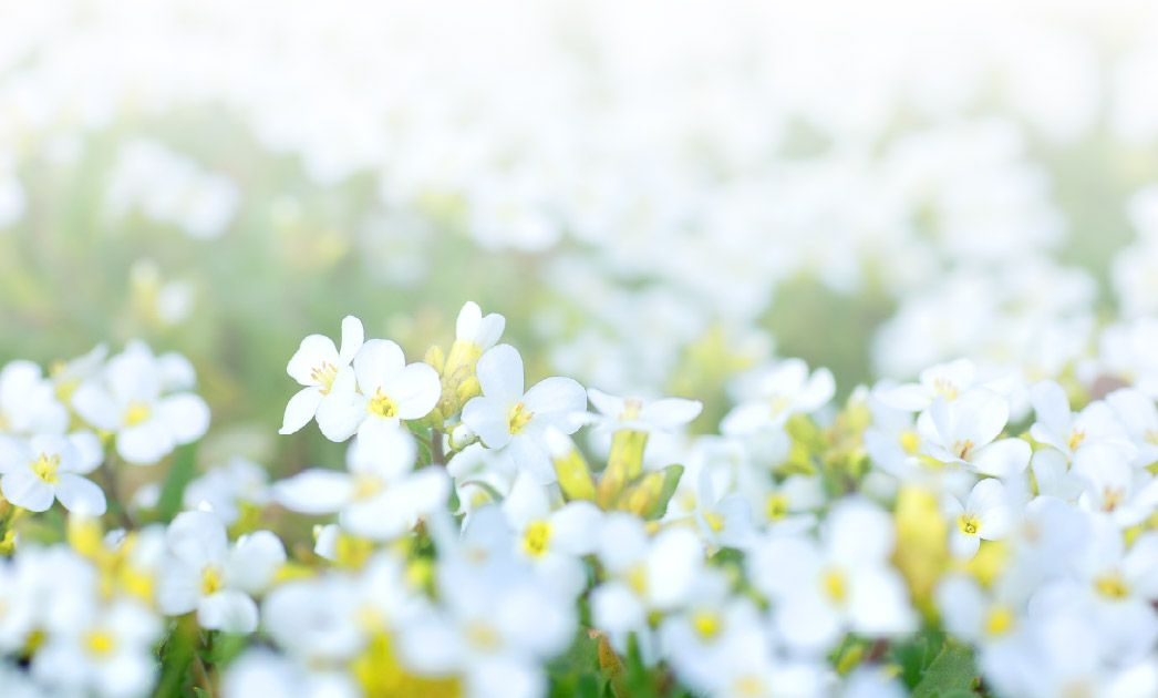 在溫柔氛圍下說再見