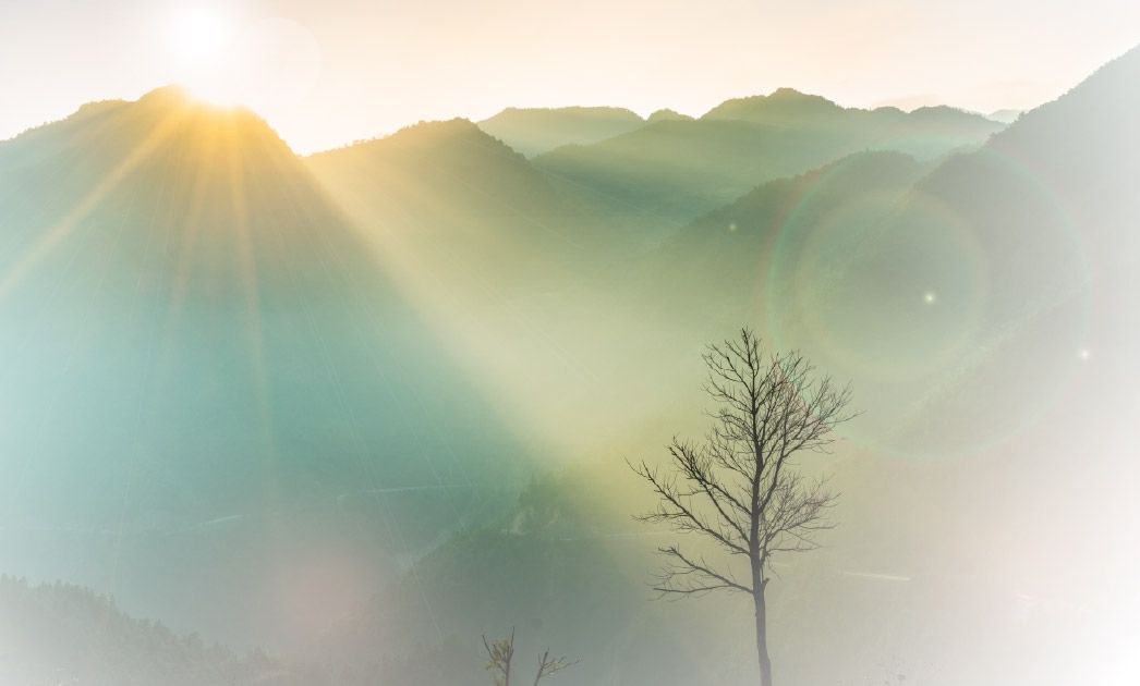 透明價格圖和減輕葬禮焦慮