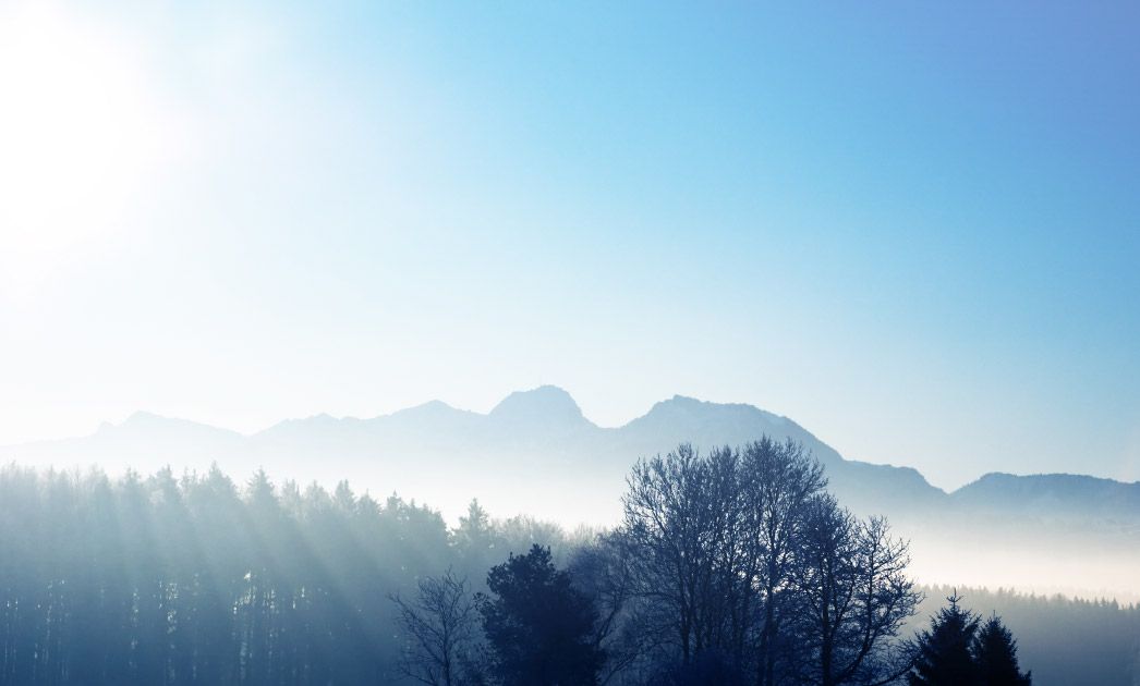 回歸自然懷抱的旅程
